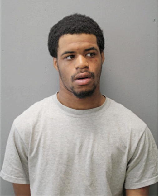 WARREN L JOHNSON, Cook County, Illinois