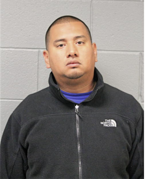ANTONIO J LEAL, Cook County, Illinois