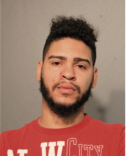 TIMOTHY J MENA, Cook County, Illinois