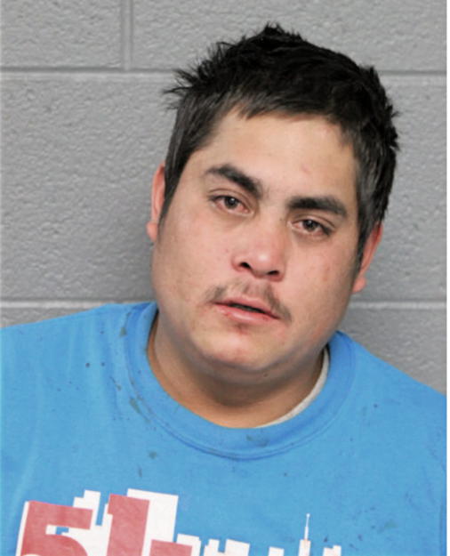 VICTOR NICASIO, Cook County, Illinois