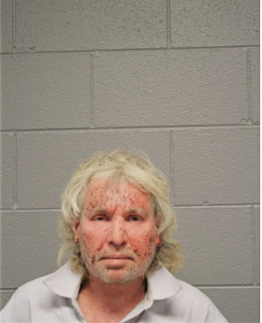 ANDREW W PALACZ, Cook County, Illinois