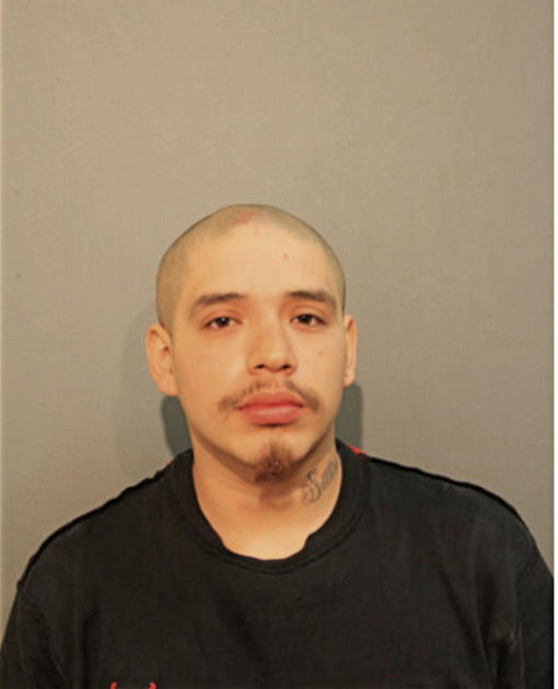 GABRIEL RAMIREZ, Cook County, Illinois