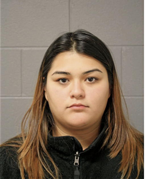 ALINA N RUIZ, Cook County, Illinois