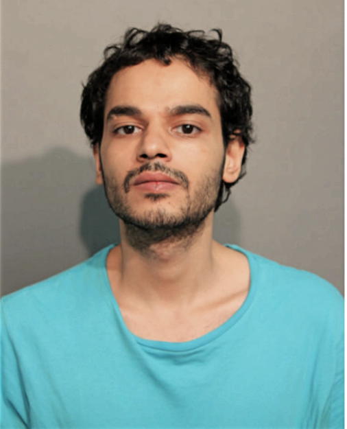 ALI A SALMAN, Cook County, Illinois