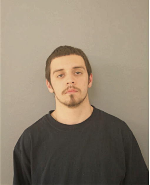 WILLIAM H SHANNON, Cook County, Illinois