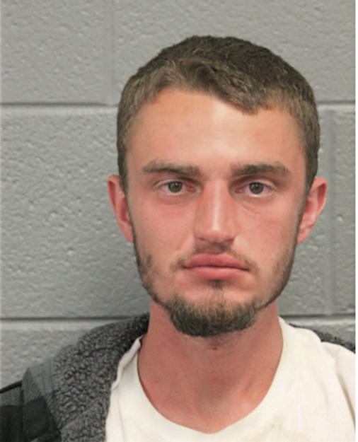 HEINZ M TEMPELMANN, Cook County, Illinois