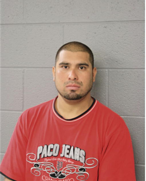 MARTIN VILLAFANA AMBRIZ, Cook County, Illinois