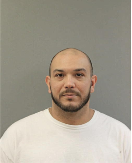 ROBERTO S BRENES, Cook County, Illinois