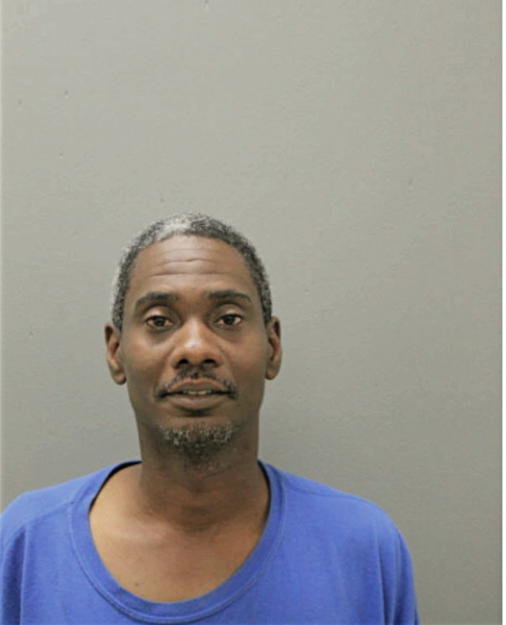 SAVIAN J BRIDGES, Cook County, Illinois
