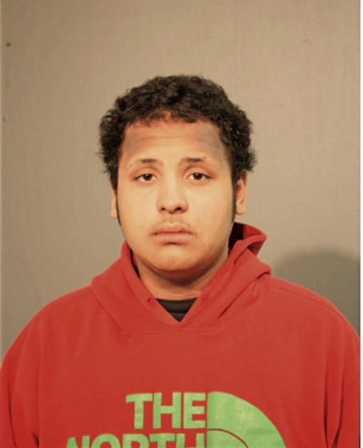 MOSES ECHEVARRIA, Cook County, Illinois
