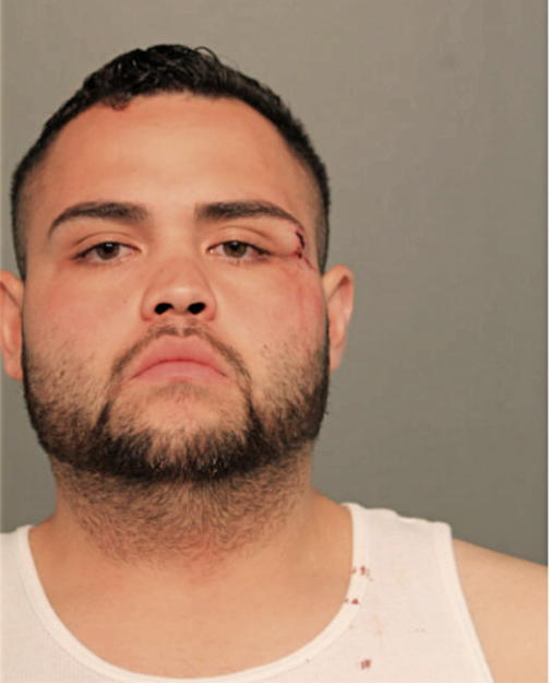 FABIAN G GARCIA, Cook County, Illinois