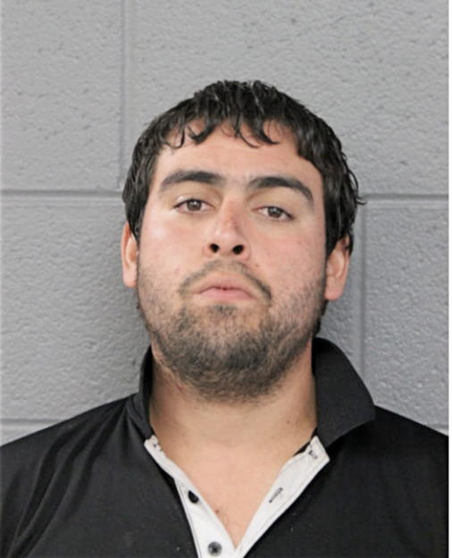 RICARDO TORRES GONZALEZ, Cook County, Illinois