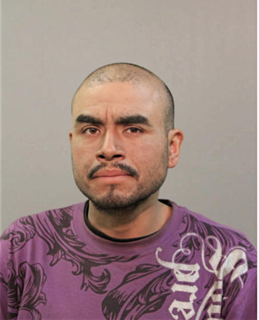 JULIO HERNANDEZ, Cook County, Illinois