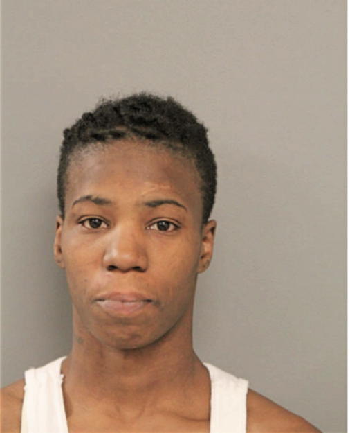 SHAMEKA M HOLLIDAY, Cook County, Illinois