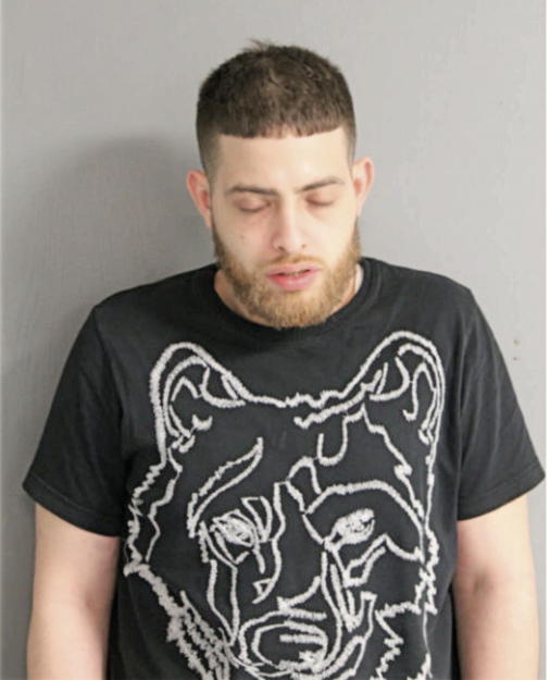 JIHAD JIBAWI, Cook County, Illinois