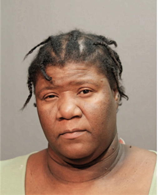 KASHEINA L JOHNSON, Cook County, Illinois