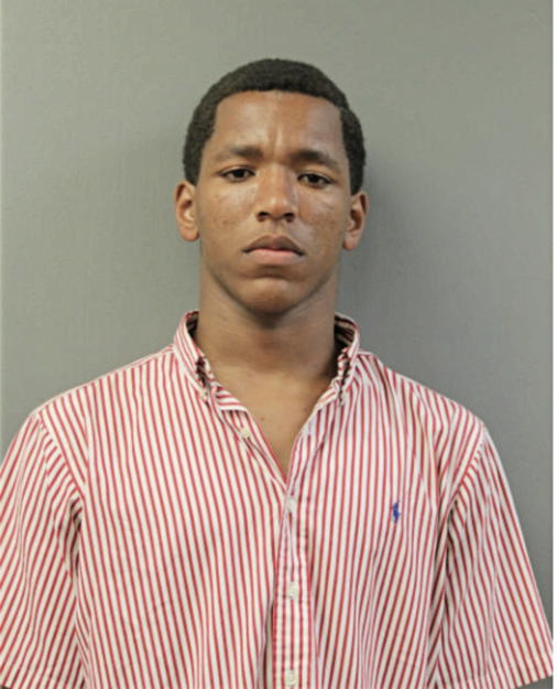 MICHAEL D JOHNSON, Cook County, Illinois