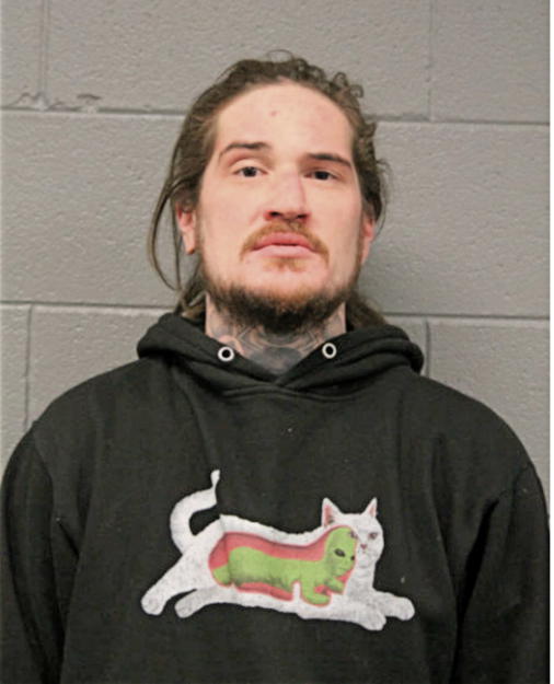 ANDREW A LEWIS, Cook County, Illinois