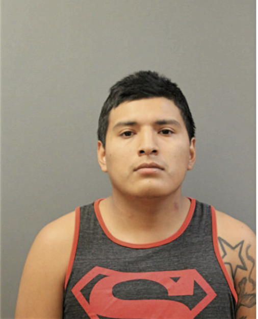 STEVE JEFFERSON LLAPA-FAJARDO, Cook County, Illinois