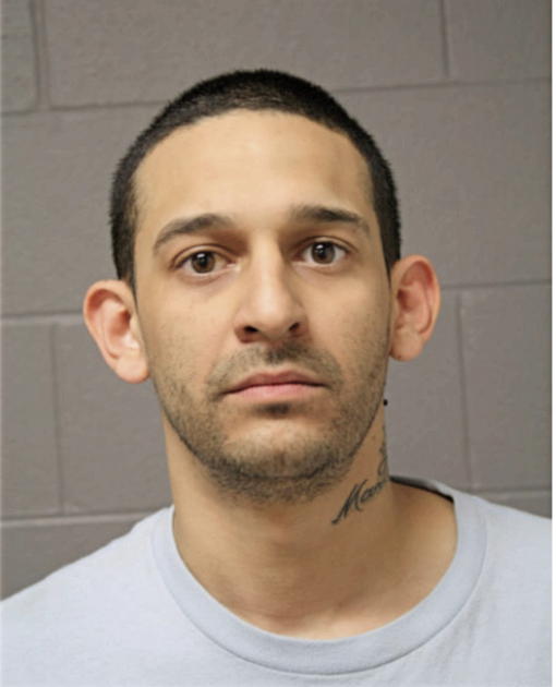JULIO A ORTIZ, Cook County, Illinois