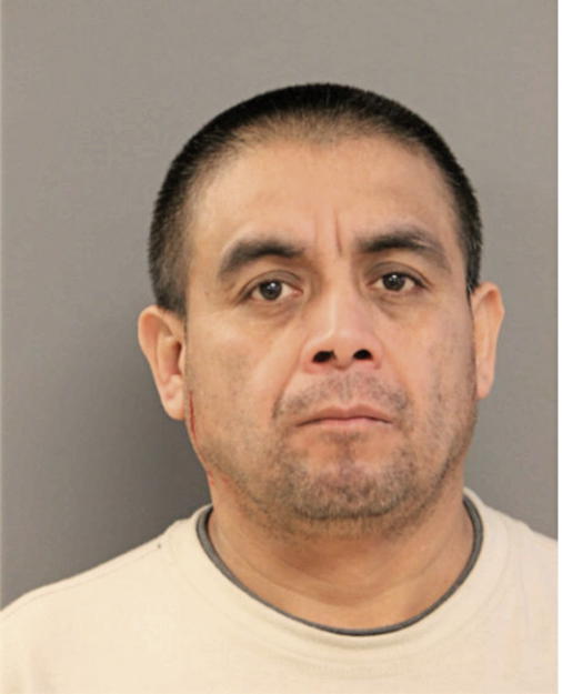 JULIO SALINAS, Cook County, Illinois