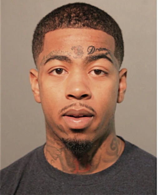 ANTHONY F SALLAY, Cook County, Illinois
