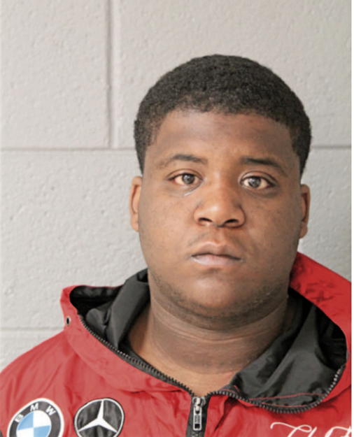 DAKOTA D YOUNG, Cook County, Illinois