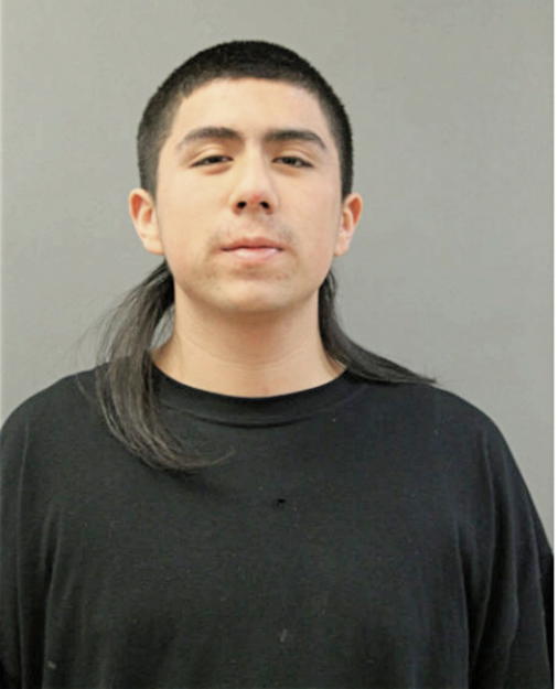 CHRISTIAN ALMANZA, Cook County, Illinois
