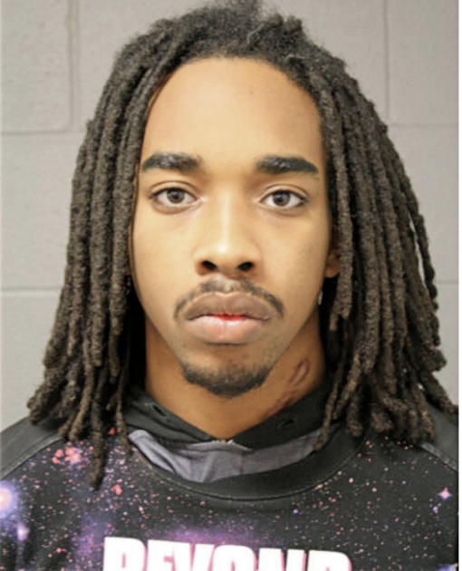 MATTHEW J ANDREWS, Cook County, Illinois