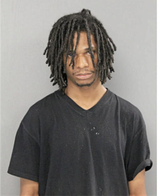 LEE A BAILEY, Cook County, Illinois