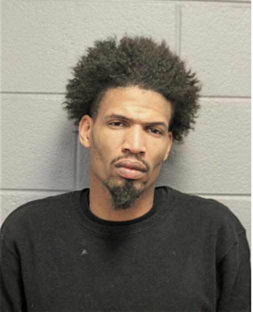 MICHAEL W BRADSHAW, Cook County, Illinois