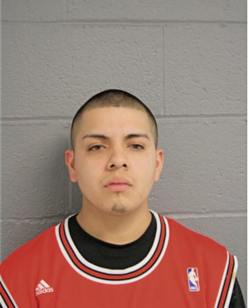 HECTOR BUENO, Cook County, Illinois