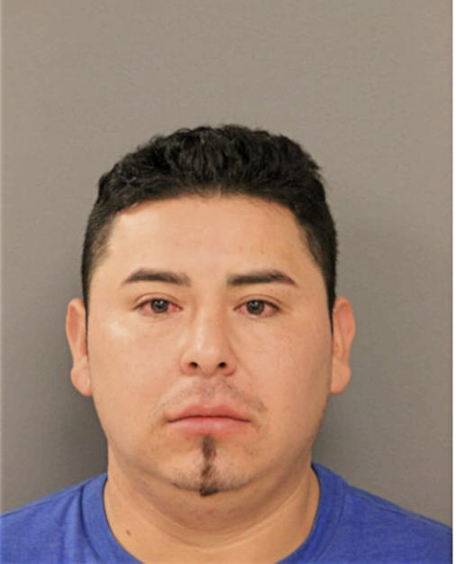 RAUL B BUSTOS, Cook County, Illinois