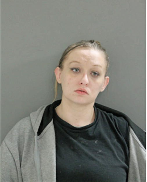 AMANDA R COBB, Cook County, Illinois