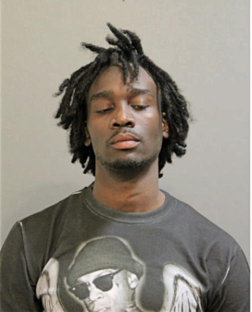 ROBERT E DARLING, Cook County, Illinois