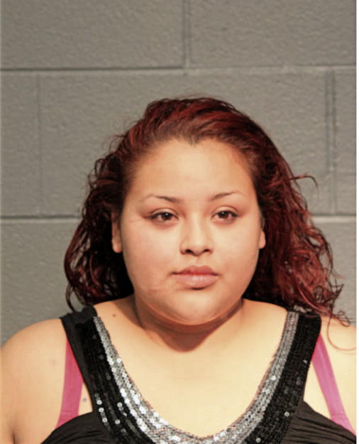 EMILIA G DAVILA, Cook County, Illinois