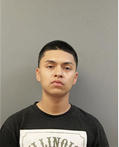 CARLOS J FABIAN, Cook County, Illinois