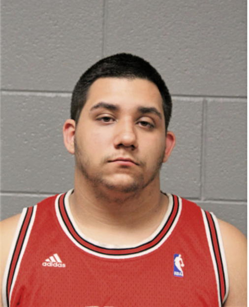 MIGUEL A FLORES, Cook County, Illinois