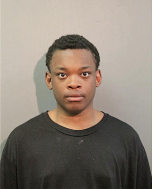 OLUMIDE O FOLARIN, Cook County, Illinois