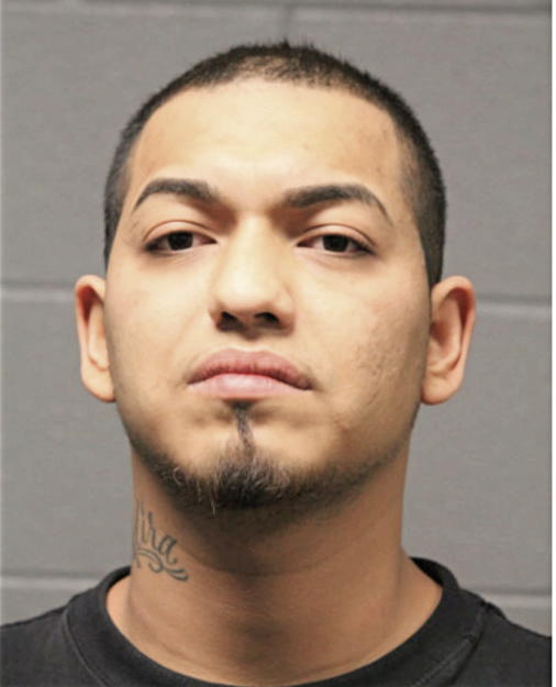 ERICK M GALVEZ, Cook County, Illinois