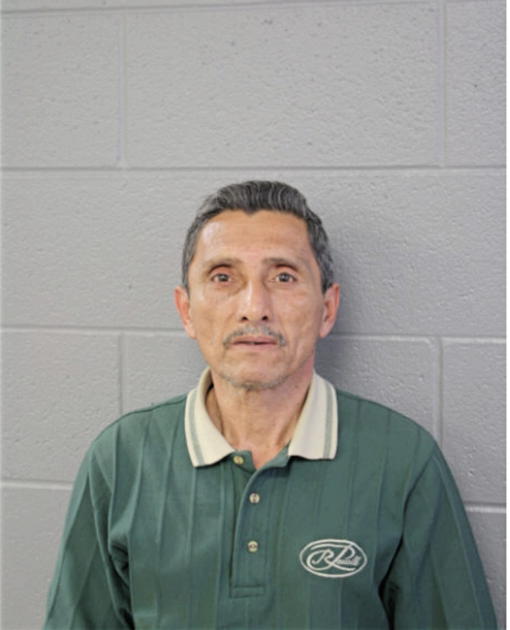PEDRO L GONZALEZ, Cook County, Illinois