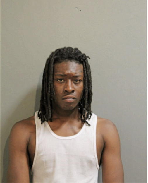 DOUGLAS HOLLYFIELD, Cook County, Illinois