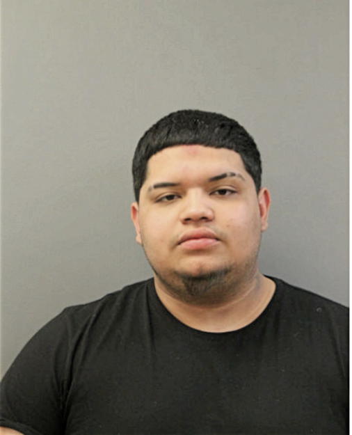 ISAIAH J MARTINEZ, Cook County, Illinois