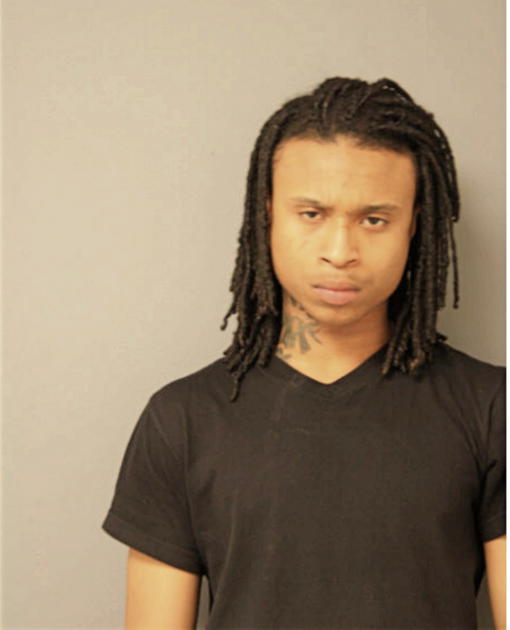 DANIEL C JOHNSON, Cook County, Illinois