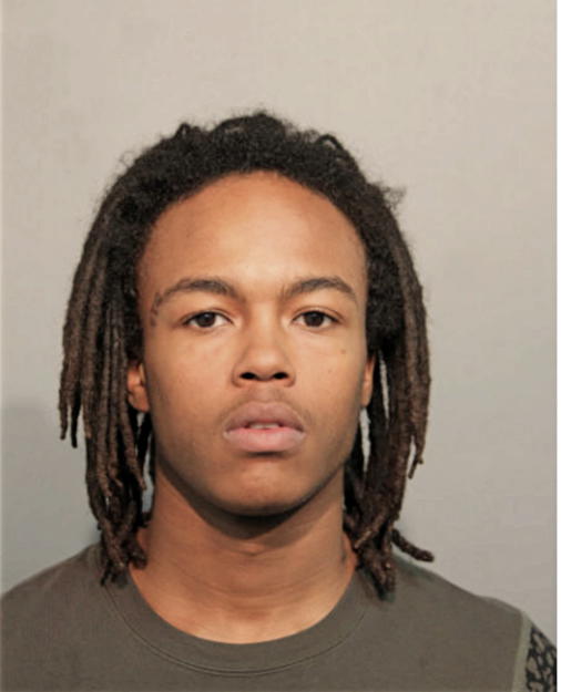 JOSIAH M JOHNSON, Cook County, Illinois