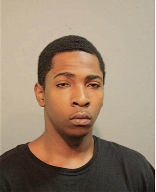 RAYMOND C JOHNSON, Cook County, Illinois