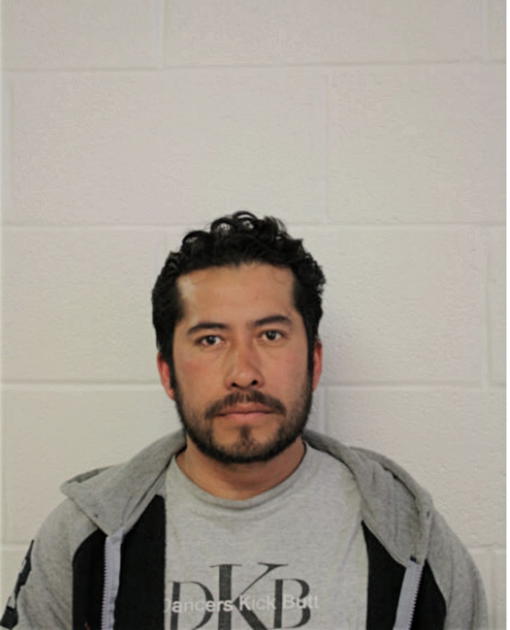 MARIO LAGUNAS, Cook County, Illinois