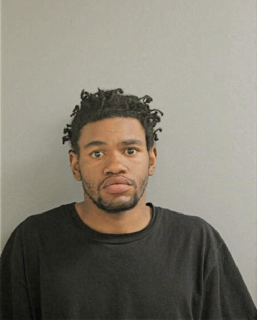 ROBERT D LEWIS, Cook County, Illinois