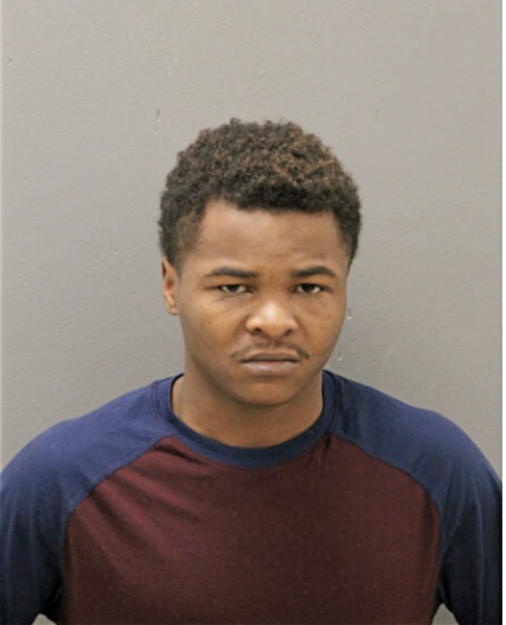 DARNELL M LUCIOUS, Cook County, Illinois