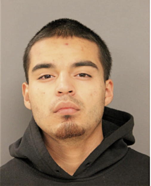 NIKO L MARES, Cook County, Illinois